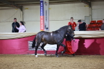 SBM_15796
