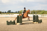 SBM_04786