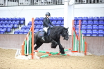 SBM_000186