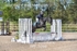 BPP_5368