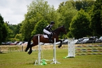 367-Hollie_Heath-KINGS_ROSE portfolio