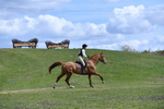 WJ5_2475
