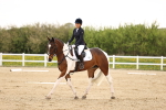 SBM_006913