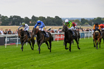 290826-Race 1-Trilby-5252