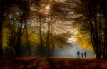 Sherwood Walk