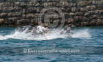 Powerboat_2014_Race-8-144