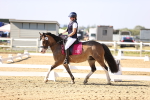 SBM_002665