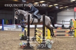 CLASS 13 0.95m Amateur Championship Qualifier portfolio