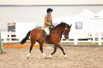 SBM_04656