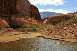 Rainbow Bridge-2011 portfolio