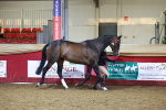 SBM_14953