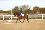 SBM_008971