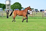 SBM_00076