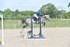 BPP_6293