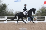 Cls 9 BD Young Horse 5YO portfolio