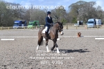 BPP_9296