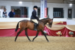 SBM_14953