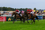290826-Race 5-Supreme Clarets-7397