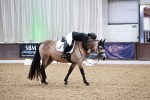 SBM_013279