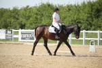 SBM_009999
