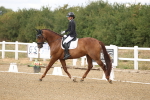 SBM_010404