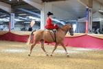 SBM_13861