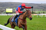 240126-Race 7-Ma Shantou-7745