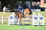 260703A-083203-06465