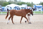 SBM_15317
