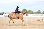 SBM_03372