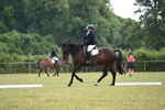 WJ6_6976