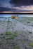 tide down