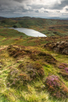 Beacon Tarn
