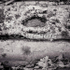 Bark # 4D