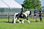 SBM_11581