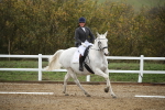 SBM_001557
