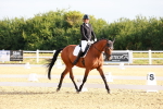 SBM_008101