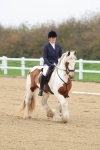 SBM_000663
