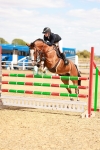 SBM_006599