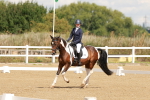 SBM_000398