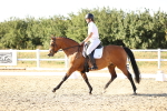 SBM_007780