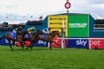 Race 3 15.00pm Sky Bet Race To The Ebor Grand Cup Stakes portfolio