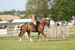 SBM_10239