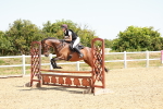 SBM_003709