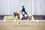 SBM_006977