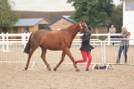 SBM_08483