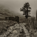 Landscape portfolio