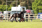 SBM_00776