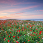 Cornwall - North Coast 2 portfolio