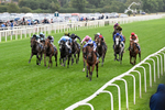 200826-Race 3-The Lost King-0416